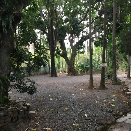 Pousada Floresta-2